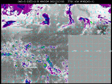 IR19960129_21.GIF