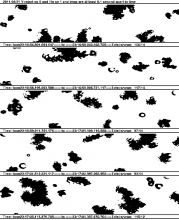 TDS_WB57_20110421231656_R0_V.png