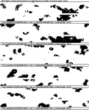 TDS_WB57_20110421232440_R0_H.png